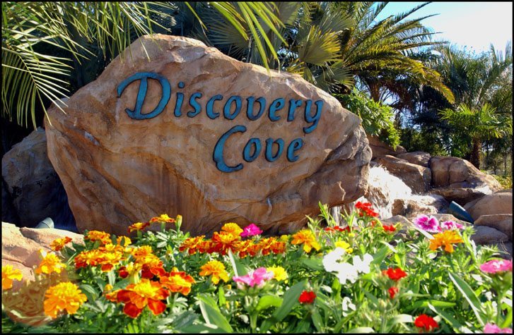 Discovery_Cove_Entrance_Yv6zSx.jpeg.jpg