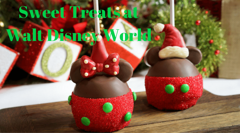 christmas-treats-at-walt-disney-world-2