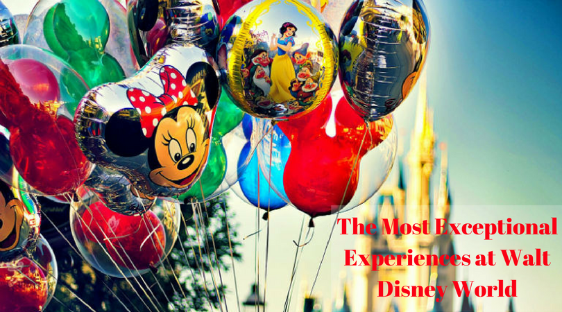 The Most Exceptional Experiences at Walt Disney World