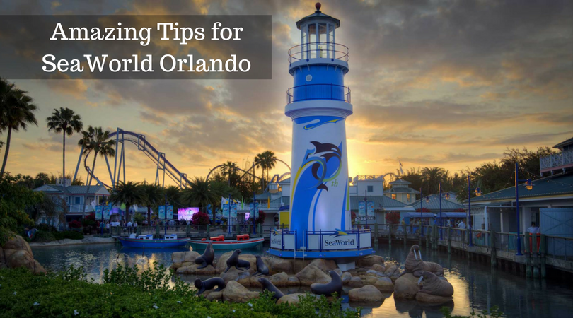 Amazing Tips for SeaWorld Orlando