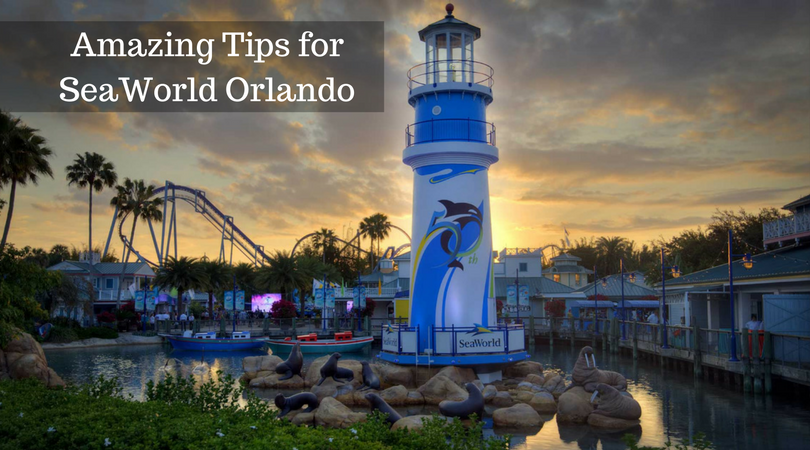 13 Best Theme Parks in Orlando - Magical Getaway Blog