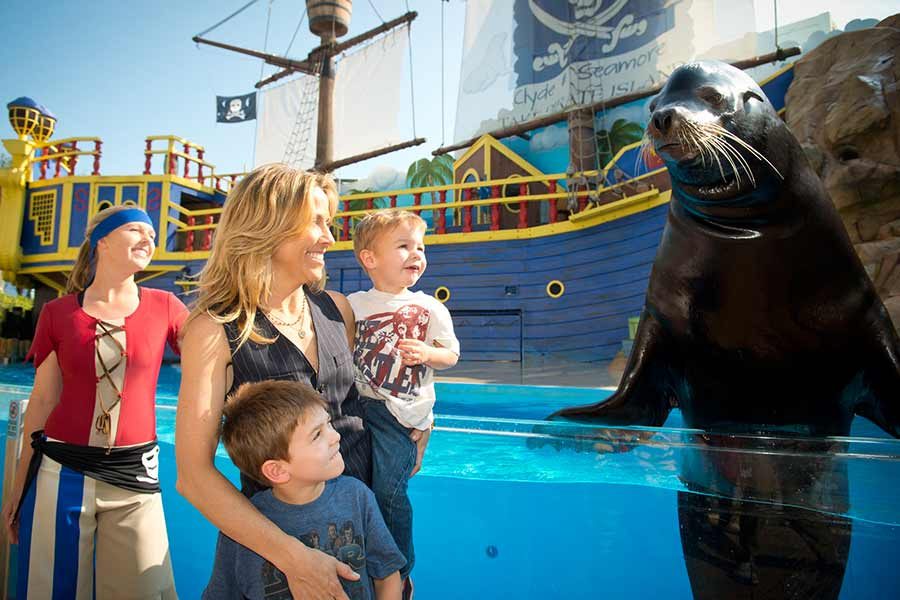 SeaWorld-3