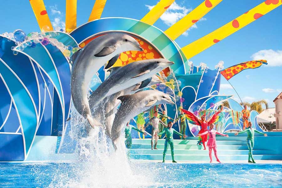 Seaworld_dolphins_900x600px